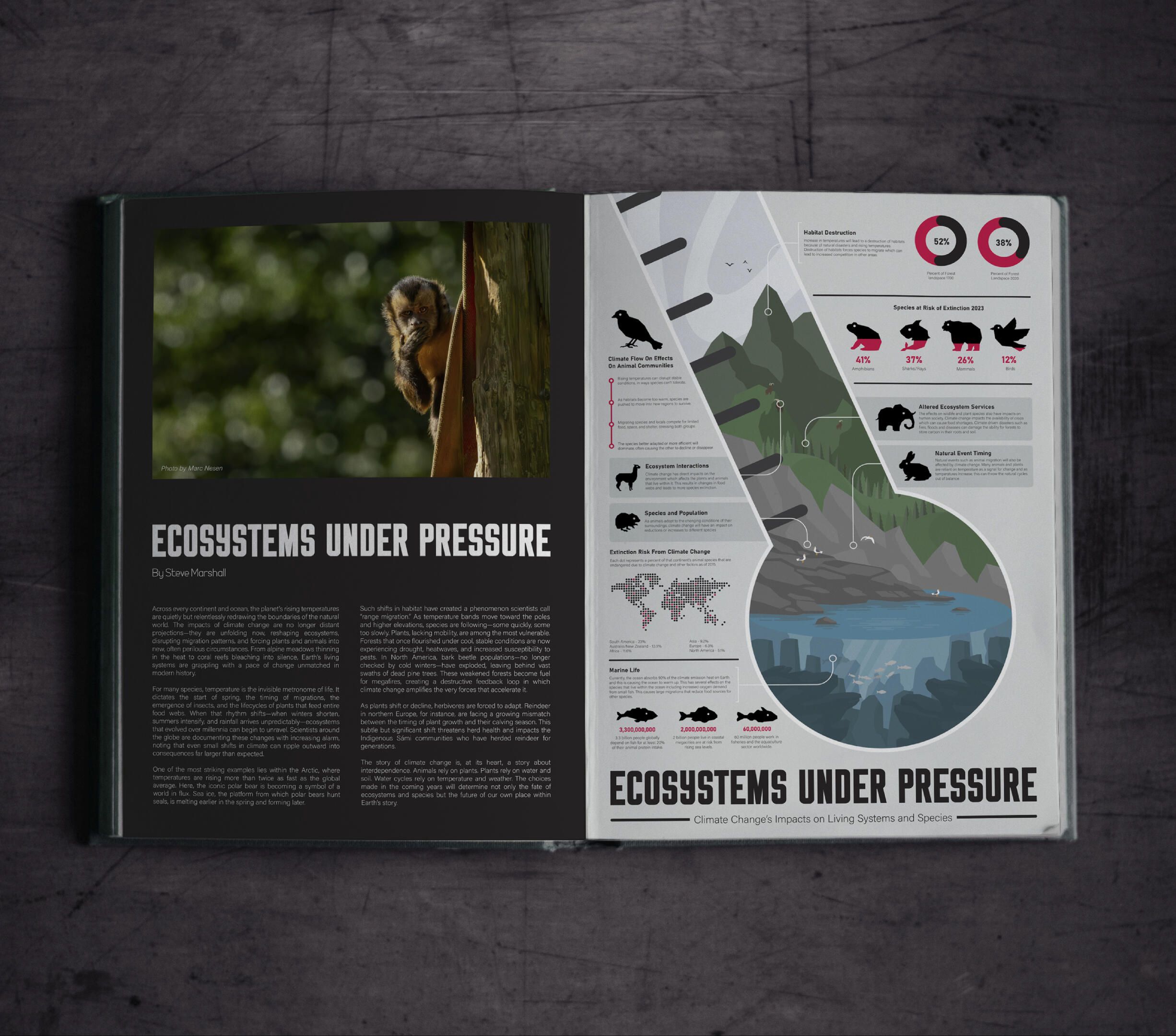 Climate Change Infographic